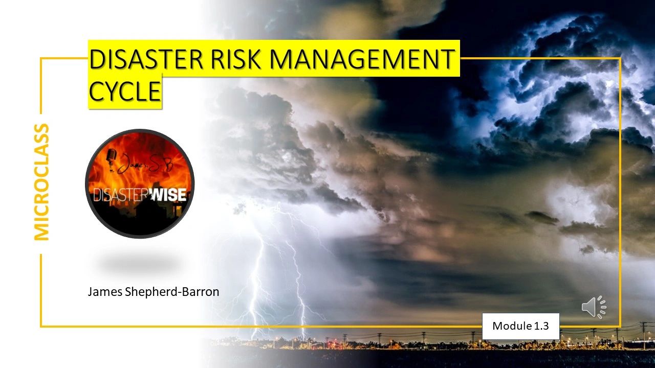 The Disaster Risk Management Cycle